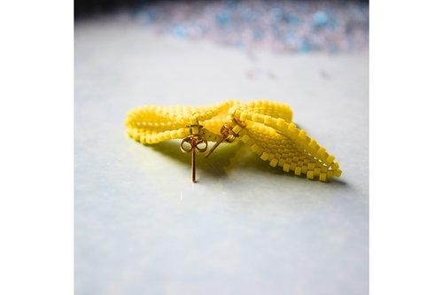 Dandelion Mini Moth