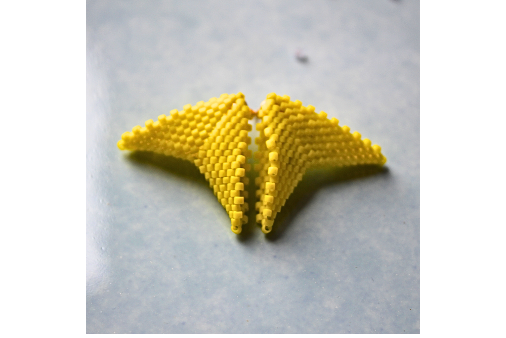 Dandelion Mini Moth