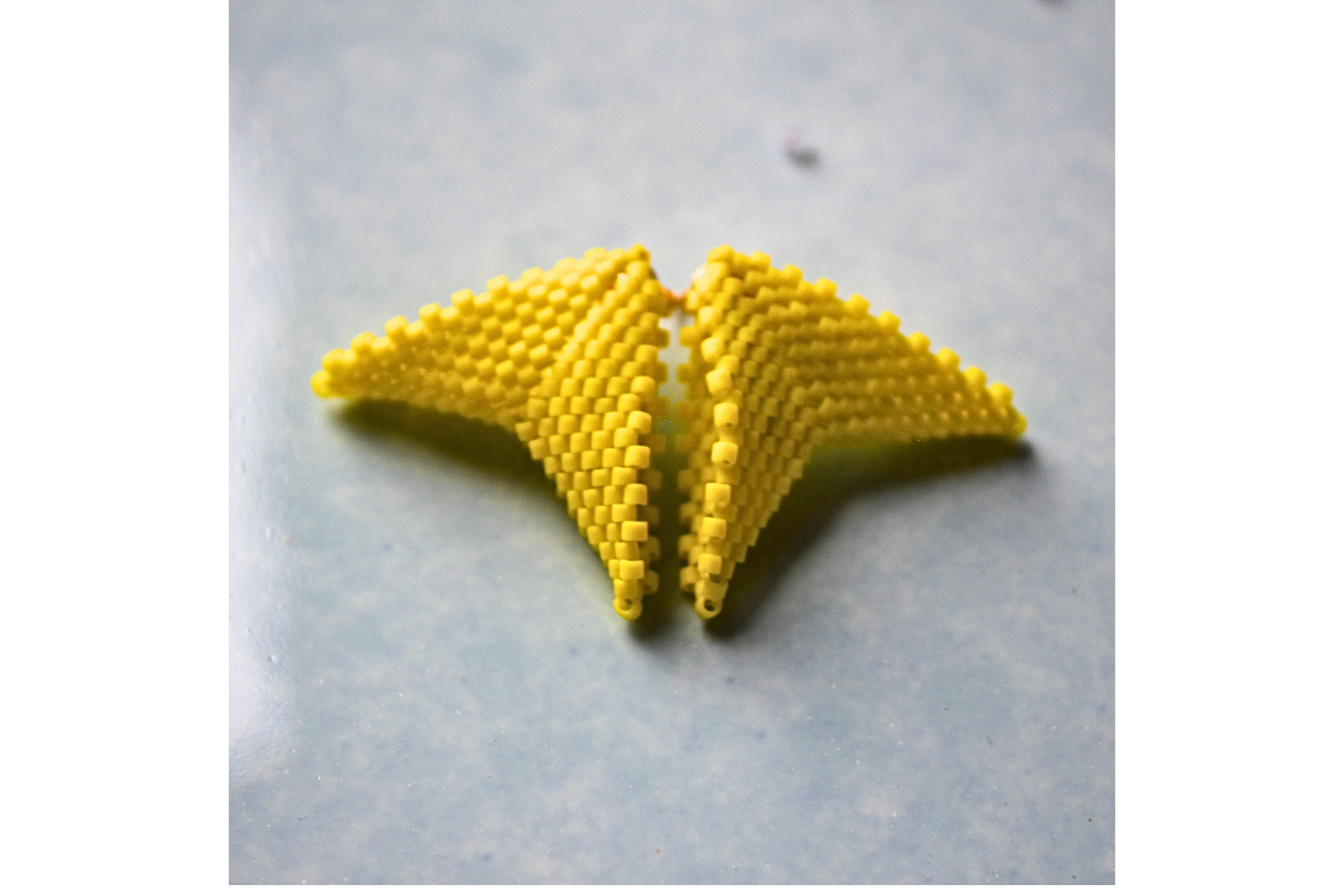 Dandelion Mini Moth